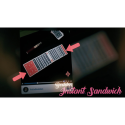 Social Media Magic Volume 1 (DVD and Gimmicks) by Felix Bodden 