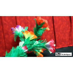 Giant Feather Fantasy by Mr. Magic