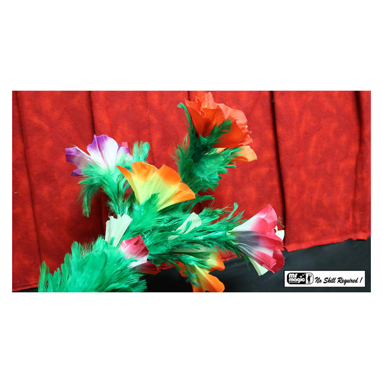 Giant Feather Fantasy by Mr. Magic