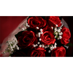 The Bouquet (Red) by Bond Lee &amp; MS Magic