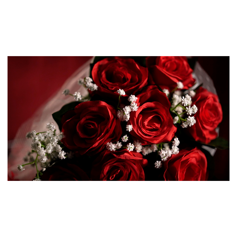 The Bouquet (Red) by Bond Lee &amp; MS Magic