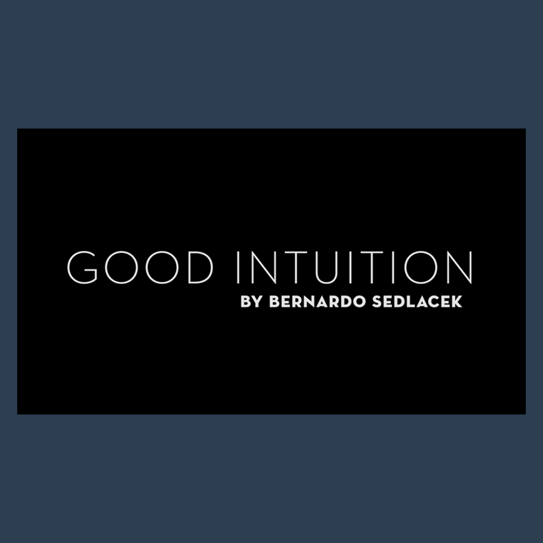 Good Intuition by Bernardo Sedlacek video DOWNLOAD