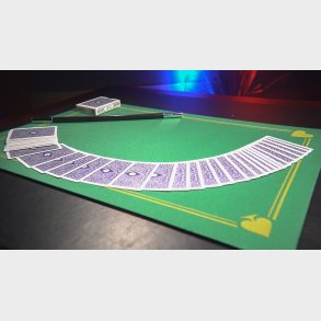 Standard Close-Up PIP Pad 11X16 (Green)