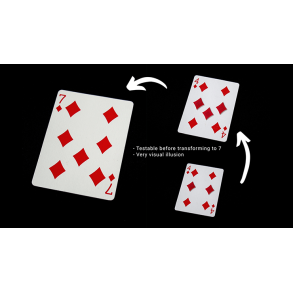 Tumi Magic Glitch Card by Tumi Magic(Rd)