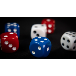 NON GIMMICKED DICE 6 PACK/MIXED by Tony Anverdi