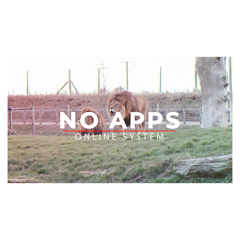 PASSWORD by Mariano Goni