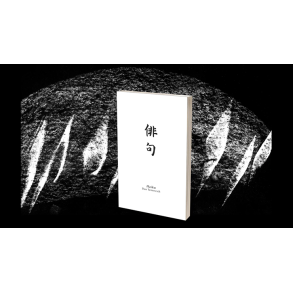 Haiku Book Test 2.0 by Vincent Hedan 