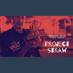 The Vault - Project Straw by Brandon David & Chris Turchi video DOWNLOAD