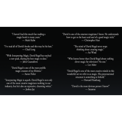  Interpreting Magic by David Regal