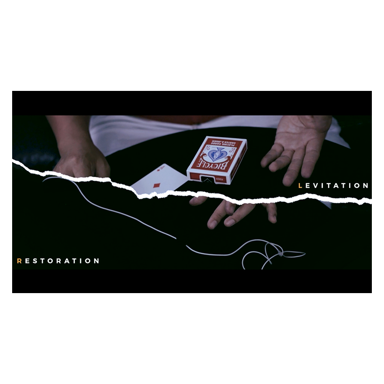 Black Art Project (2 DVD Set) by SansMinds