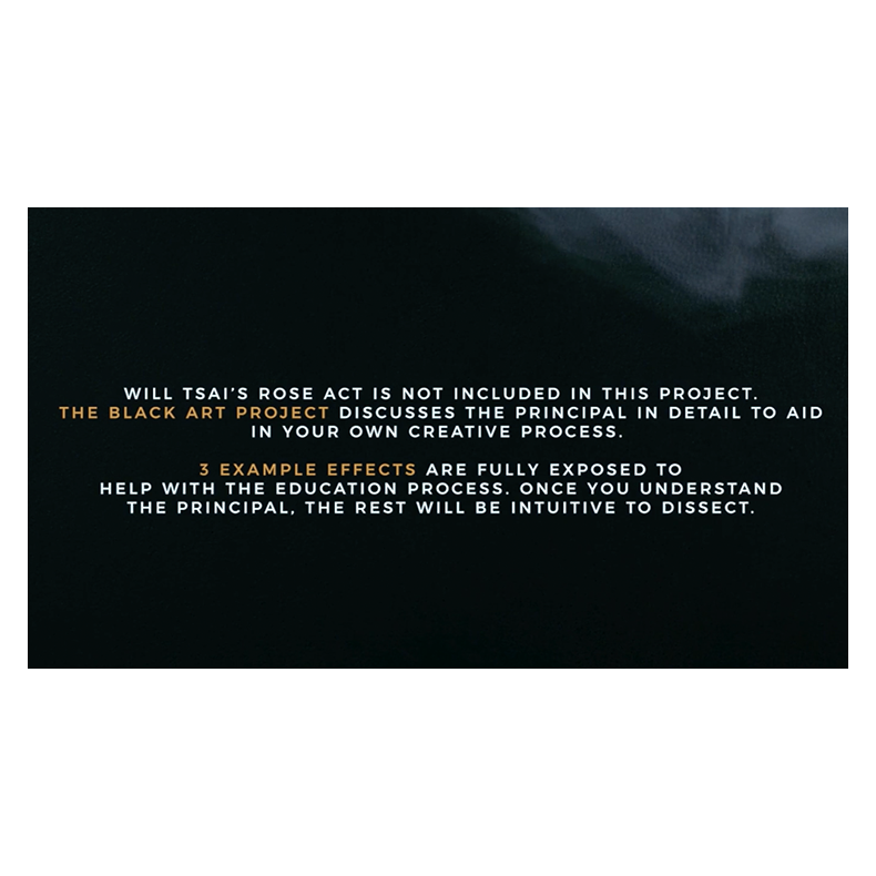 Black Art Project (2 DVD Set) by SansMinds