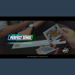The Vault - Skymember Presents Perfect Sense by Daniel Hiew video DOWNLOAD