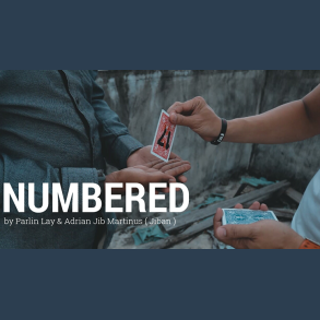 Numbered by Parlin Lay video DOWNLOAD