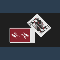 Remedies Playing Cards by Madison x Schneider
