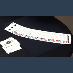 Ultimate Self Working Card Tricks: Ryan Matney video DOWNLOAD