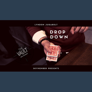 The Vault - Skymember Presents Drop Down by Lyndon Jugalbot mixed media DOWNLOAD