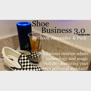 Shoe Business 3.0 by Scott Alexander & Puck