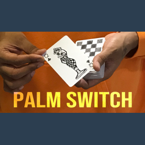 Magic Encarta Presents Palm Switch & Palm Control by Vivek Singhi
