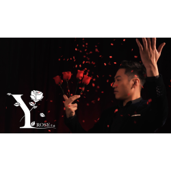 Y-Rose 2.0 by Mr. Y &amp; Bond Lee