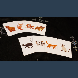Animal Card by Tejinaya by Tejinaya Magic