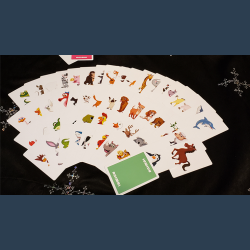 Animal Card by Tejinaya by Tejinaya Magic