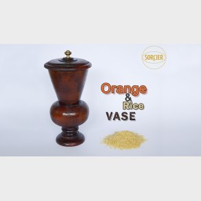 Orange and Rice Vase by Sorcier Magic