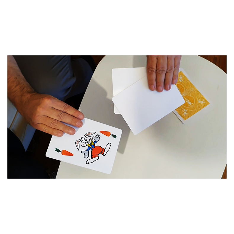 Rabbit On The Rainbow by Juan Pablo Magic