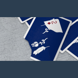 Remedies Playing Cards by Madison x Schneider