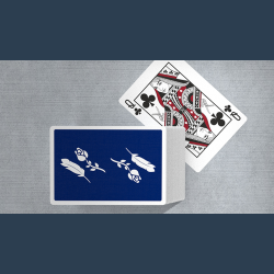 Remedies Playing Cards by Madison x Schneider