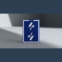 Remedies Playing Cards by Madison x Schneider