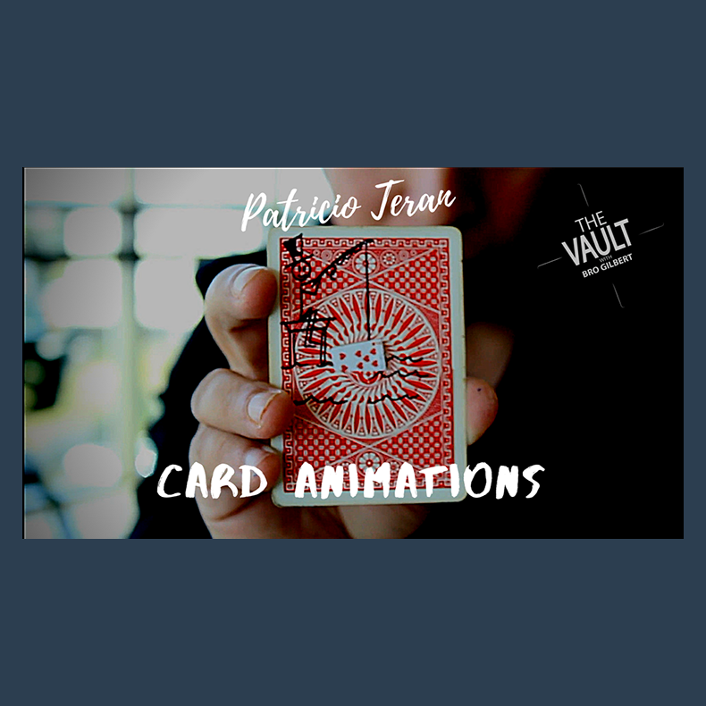 The Vault - Card Animations by Patricio Teran video DOWNLOAD