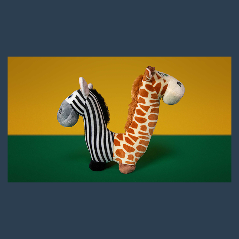 Two-Headed Prediction by Christopher T. Magician