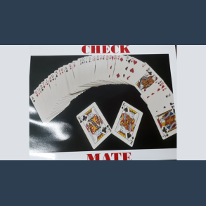 Check Mate by Dibya Guha video DOWNLOAD