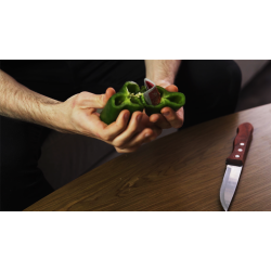 FRUITFULL 2.0 by Juan Pablo