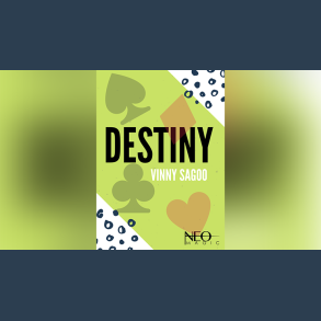 Destiny by Vinny Sagoo eBook DOWNLOAD