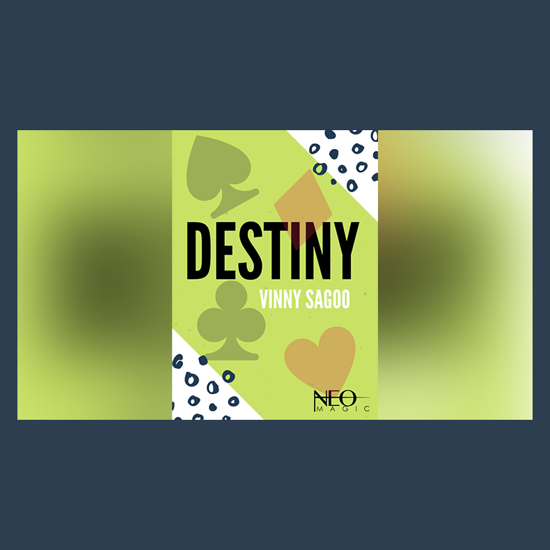 Destiny by Vinny Sagoo eBook DOWNLOAD