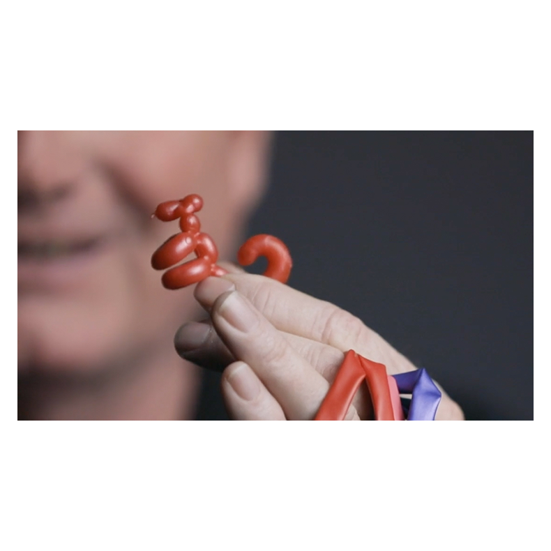 Animinimals by Billy Damon