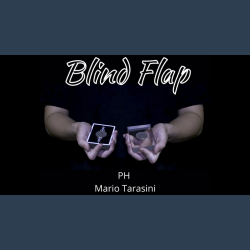 The Vault - Blind Flap Project by PH and Mario Tarasini video DOWNLOAD