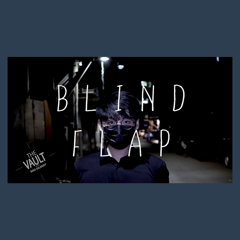 The Vault - Blind Flap Project by PH and Mario Tarasini video DOWNLOAD