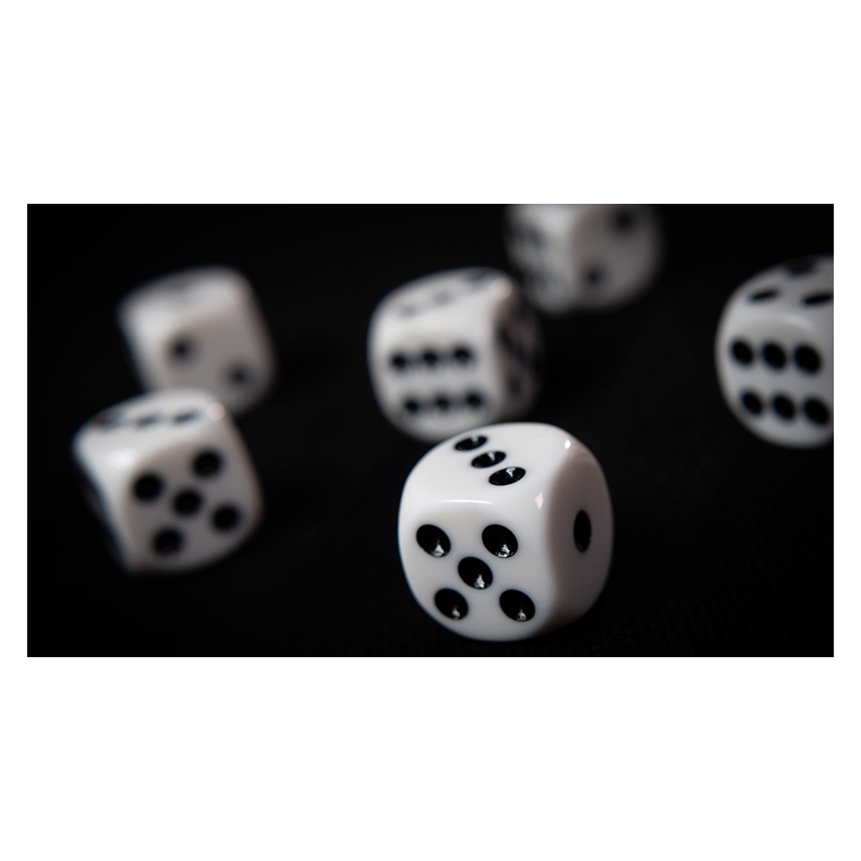NON GIMMICKED DICE 6 PACK/WHITE by Tony Anverdi