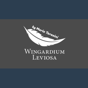 Wingardium Leviosa by Mario Tarasini video DOWNLOAD