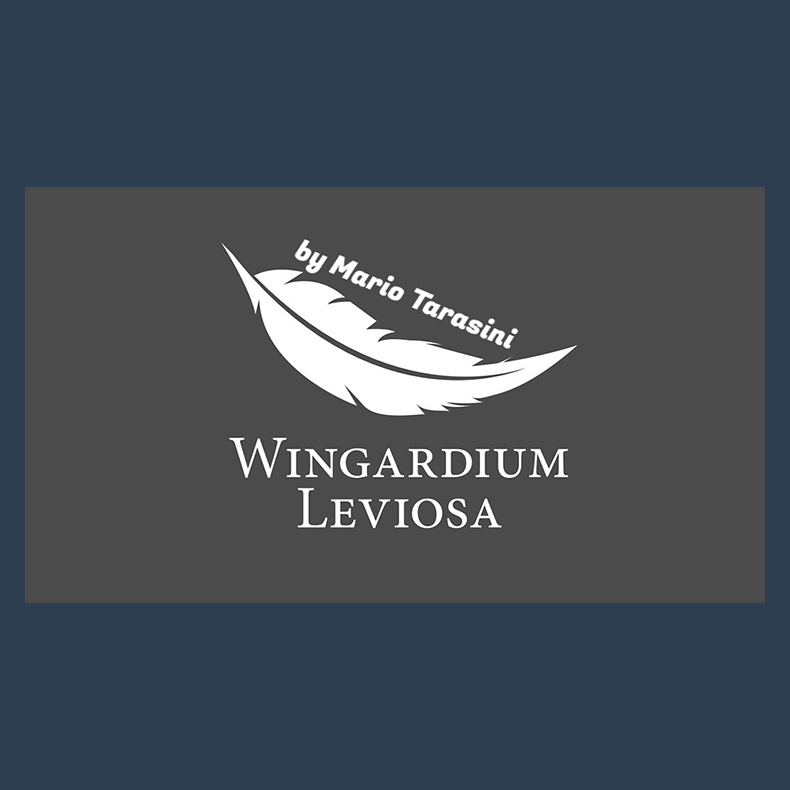 Wingardium Leviosa by Mario Tarasini video DOWNLOAD