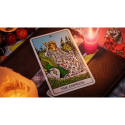 The Oracle System by Ben Seidman 