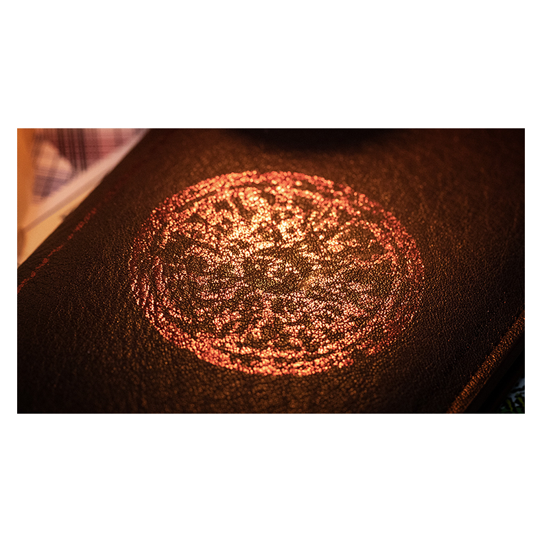 The Oracle System by Ben Seidman 