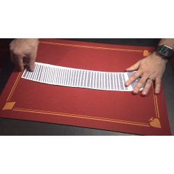 Standard Close-Up PIP Pad 16X23 (Red)