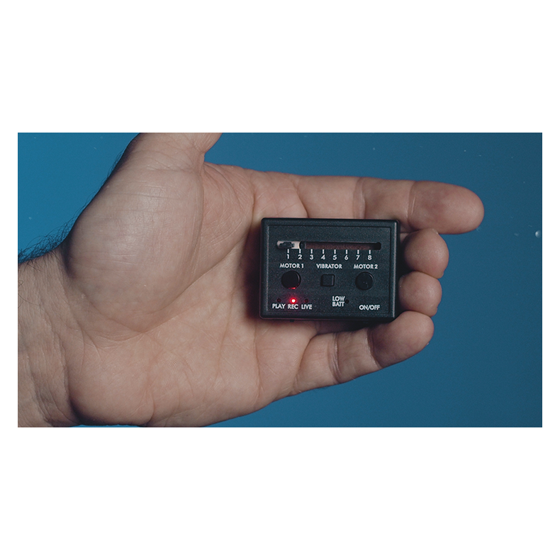 GRAVITY REEL by Joao Miranda