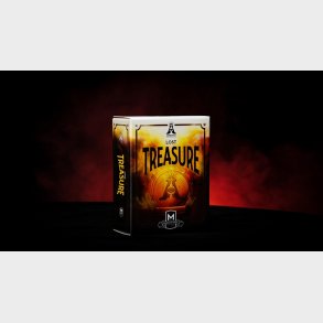 THE LOST TREASURE