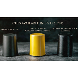 How to Cheat at Dice Black Leather by Zonte