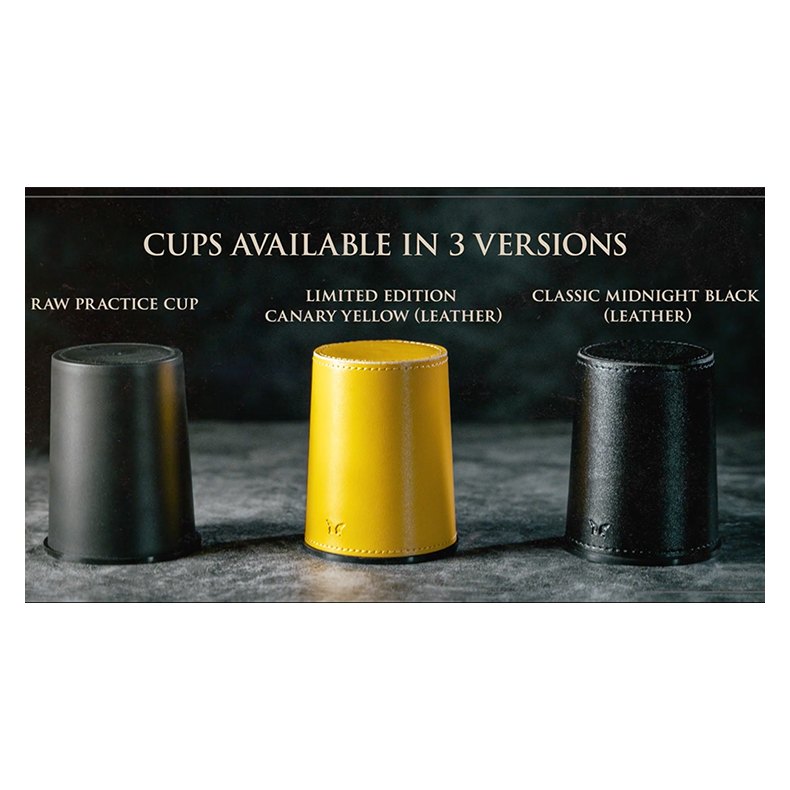 How to Cheat at Dice Black Leather by Zonte