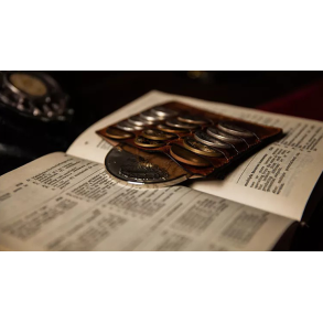 Combo Coin Bag by TCC